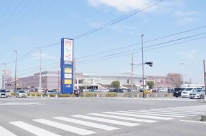 ライズ・プラミネントＡ 101号-15