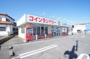 ディアーナ A 102号-15