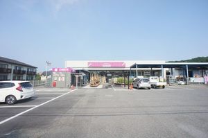 マイヨ・ベール　Ｂ 101号-15