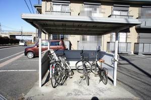 サンフラワー 105号-13