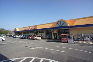 ラ・フォルトゥーナＡ 202号-15