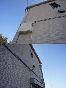 パレスＮ　壱番館 101号-3