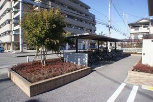 ダンデライオン　Ｈ 201号-12