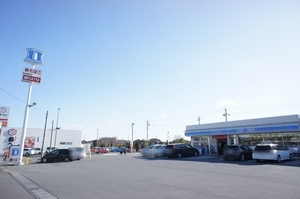 ダンデライオン　Ｈ 201号-13