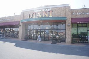 ダンデライオン　Ｈ 201号-15