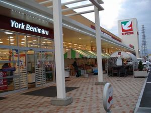 ベイサージュⅤ 202号-13