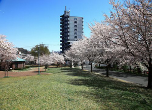 ボーセゾンB 101号-12