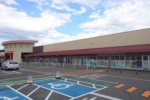 リシェス　Ⅱ 101号-15