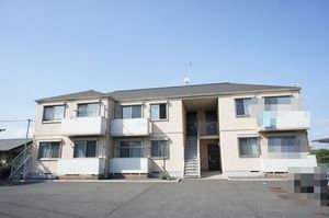 シャルマン　Ｍ