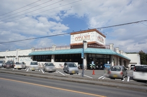 ティプラザ駒生町 B 101号-13