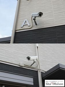 カーサ・デ・アニマレス　Ａ 201号-12