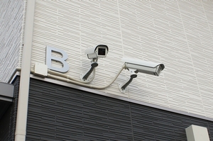 カーサ・デ・アニマレス B 201号-12