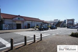 プラティニ　Ⅰ 203号-15