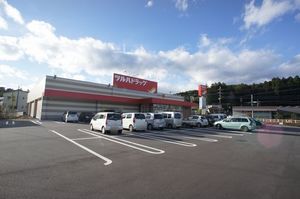 Ｌｅ　Ｌｉｅｎ　Ⅰ 101号-13