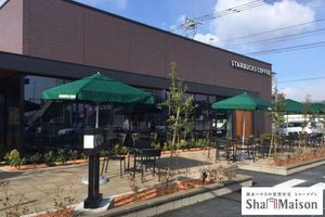 ミルティーユ　Ｂ 202号-13