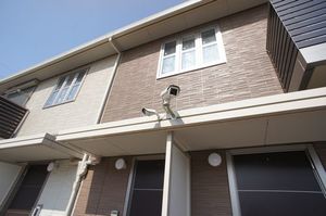 Ｇｒａｓｓ　ｈａｒｐ　Ｂ 101号-12