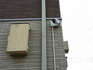 モンタナ・メディオＡ 203号-12