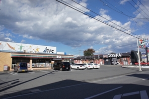 エルピーダ 202号-13