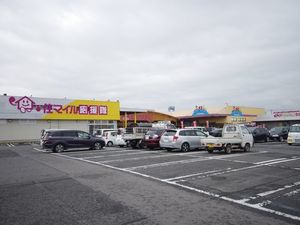 ジャルダン・デュ・レーヴB 203号-15