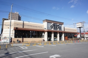 ＳＴＥＬＬＡ 101号-14