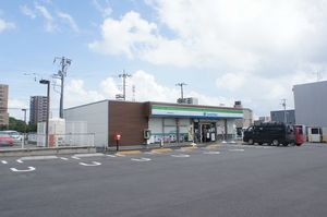 ＳＴＥＬＬＡ 101号-15