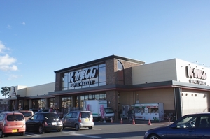 ポラリス 201号-13