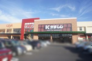 ブリランテ　Ⅲ 202号-13