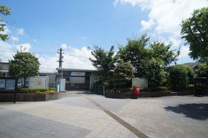 ｇｅｍ　ｖｉｏｌａ　Ａ 206号-12