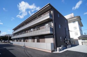 ｇｅｍ　ｖｉｏｌａ　Ｃ