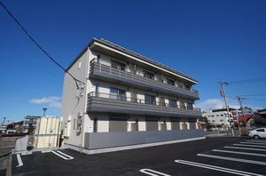 gem viola D 301号-12