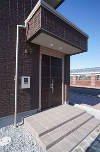 gem viola D 301号-13