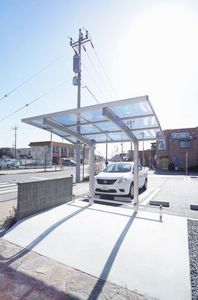 gem viola D 301号-14