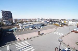 gem viola D 301号-15