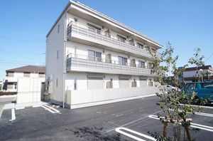 gem viola E 101号-12