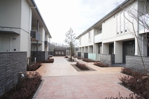 Ｓａｎｓｆｉｎｅ　Ｖｉｔａ 207号-15