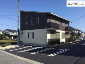 Ｂｒｏｎｚｅ　ｗｏｌｆ　Ｃ