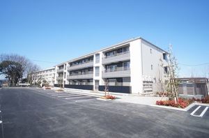 Ｇｅｓｃｈｅｎｋ　ＭｏＲｉＡ　Ⅱ 202号-3