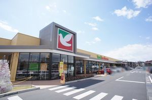 リアンジュ戸祭元町 305号-12