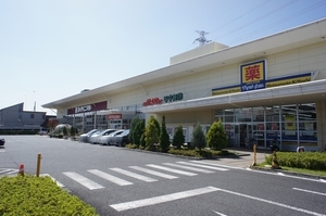 Noa EX 302号-15