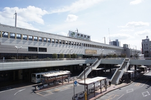 Ｒｏｏｔ 203号-13