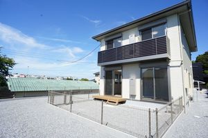 シャイニーウッド