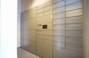 ルアナ錦 101号-13