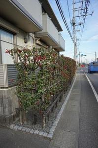 プランドール・エフ 101号-15