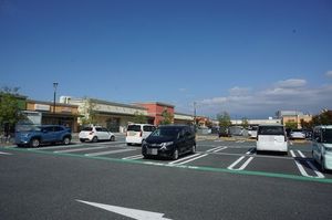 ラウンドパディーＣ 205号-4