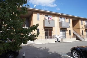 ラウンドパディーＣ 205号-7