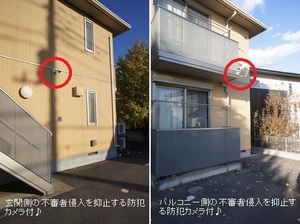 アルトピーノ 101号-13