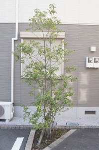 モデラードⅠ 201号-14