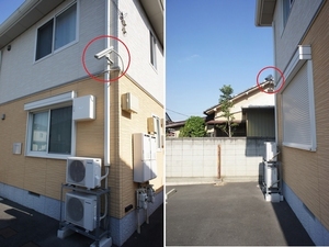 ベル　クレスト 203号-13