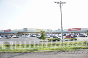 エズ・ヴィラージュＤ 201号-13