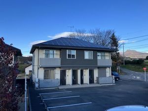 モンステラ 101号-12